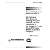 AWS B2.1-1-019:1994