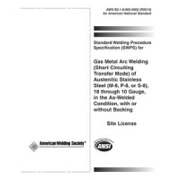 AWS B2.1-8-005:2002