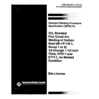 AWS B2.1-1-019:1994