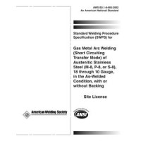 AWS B2.1-8-005:2002