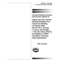 AWS B2.1-1-234:2006