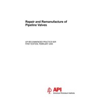 API RP 6DR:2006