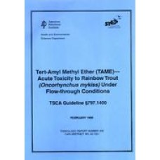 API TR 408 API TR 408