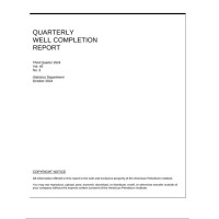 API Quarterly Well:2024