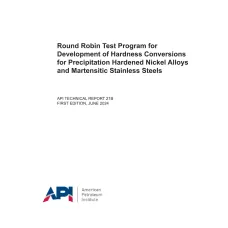API TR 21B:2024