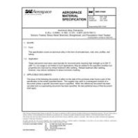 SAE AMS4162D