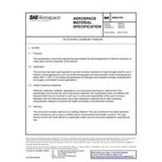 SAE AMS2419C SAE AMS2419C