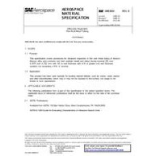 SAE AMS2634B SAE AMS2634B