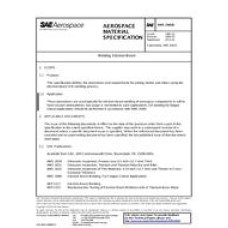 SAE AMS2681B SAE AMS2681B
