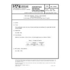SAE AMS3793/6A