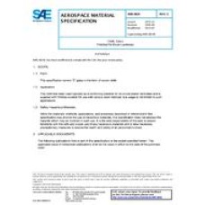 SAE AMS3824C SAE AMS3824C