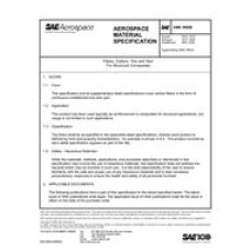 SAE AMS3892B SAE AMS3892B