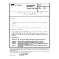 SAE AMS4676E
