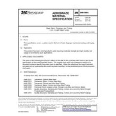 SAE AMS5080J SAE AMS5080J