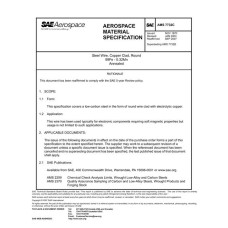 SAE AMS7732C SAE AMS7732C