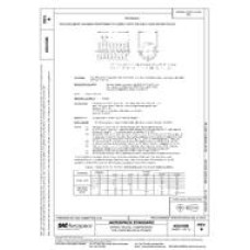 SAE AS24585B SAE AS24585B