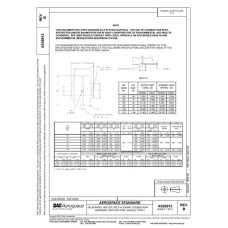 SAE AS28913B SAE AS28913B