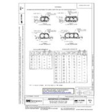 SAE AS3040A SAE AS3040A