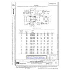SAE AS5205B SAE AS5205B