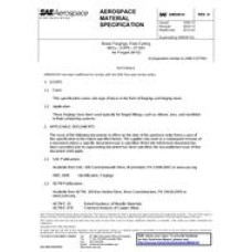SAE AMS4614H SAE AMS4614H