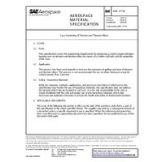 SAE AMS2775B SAE AMS2775B