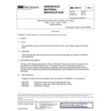 SAE AMS4616F SAE AMS4616F
