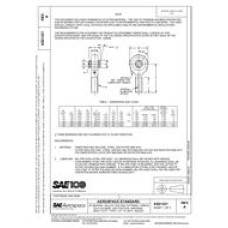 SAE AS21221A SAE AS21221A