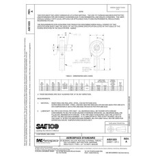 SAE AS21223A SAE AS21223A