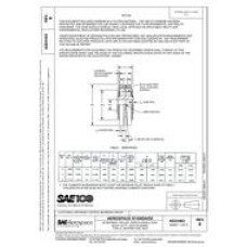 SAE AS24463B SAE AS24463B