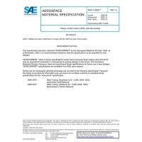 SAE AMST5066A