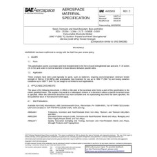 SAE AMS5853C SAE AMS5853C