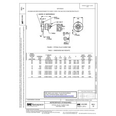 SAE AS1369B SAE AS1369B