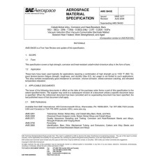 SAE AMS5843E SAE AMS5843E