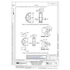 SAE AS1717D SAE AS1717D