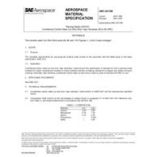 SAE AMS2431/8B SAE AMS2431/8B