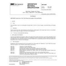 SAE AMS6260P