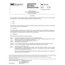 SAE AMS3819C SAE AMS3819C