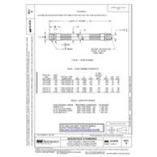 SAE AS4478B SAE AS4478B