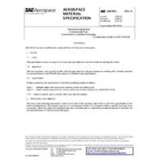 SAE AMS4951H SAE AMS4951H