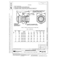 SAE AS21900C SAE AS21900C