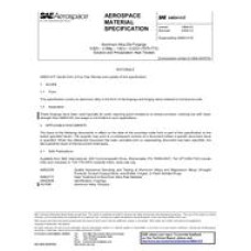 SAE AMS4141F SAE AMS4141F