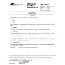 SAE AMS3909B SAE AMS3909B