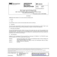 SAE AMS5810B SAE AMS5810B