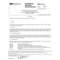 SAE AMS6481B SAE AMS6481B