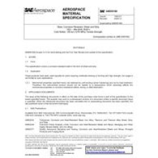 SAE AMS5519N SAE AMS5519N