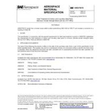 SAE AMS2759/1E SAE AMS2759/1E