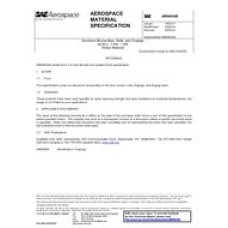 SAE AMS4634B SAE AMS4634B