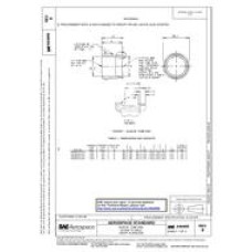 SAE AS4695B SAE AS4695B