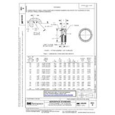 SAE AS4300B SAE AS4300B