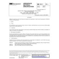 SAE AMS4117J SAE AMS4117J